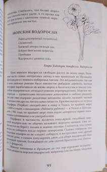 Фез Инкрайт: Тайны растений. Народная магия и исцеление