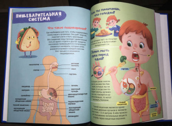 Интересные факты о теле человека