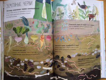 Зоммер, Тейлор: Большая книга букашек