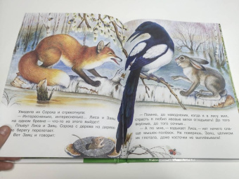 Николай Сладков: Бюро лесных услуг