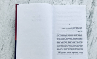 Александра Николаенко: Муравьиный бог. Реквием
