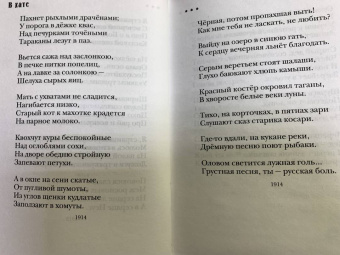 Сергей Есенин: Не жалею, не зову, не плачу...