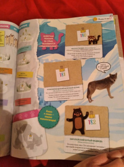 Альбом для коллекционирования наклеек "Зоопланета 2020" (8018190009323)