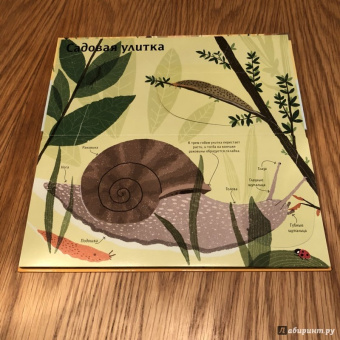 Боманн, Дюпон: Животные снаружи и внутри