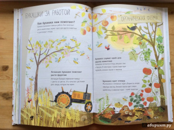 Зоммер, Тейлор: Большая книга букашек