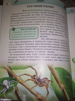 Людмила Соколова: Хочу знать. Пауки