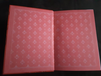 Луи Буссенар: Ледяной ад. Капитан Сорви-голова