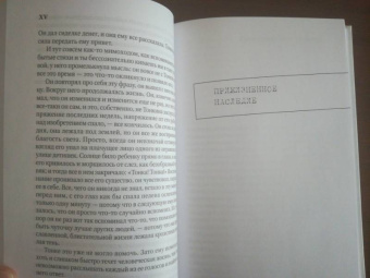 Роберт Музиль: Жизнь без свойств. Новеллы, эссе, дневники. Том 4