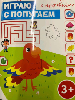 Играю с попугаем