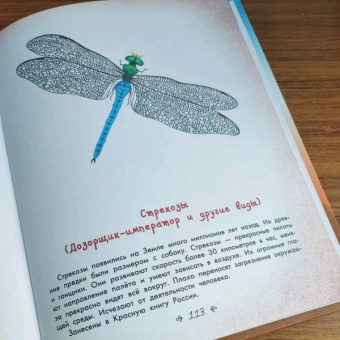 Наталия Немцова: Стражи леса. Сказки для почемучки