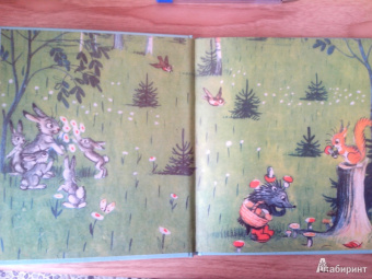 Владимир Сутеев: Загадочные истории