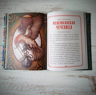 Майя Толл: Магический бестиарий. Вдохновляющие послания и ритуалы от 36 волшебных животных 36 карт и книга