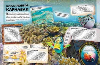 Бедуайер, Паркер, Фарндон: Земля. Книга юного эрудита