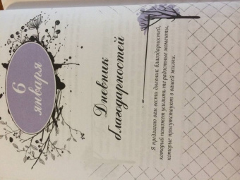 Виктория Райдос: Поворотный год. Магический Ежедневник