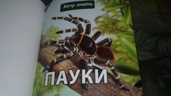 Людмила Соколова: Хочу знать. Пауки