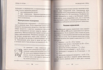 Елена Плотникова: Козы и овцы