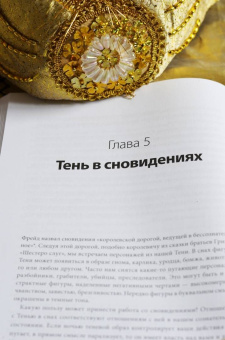 Савкин, Тертышная: Тень как ресурс