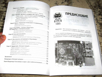 В. Гололобов: Raspberry Pi для любознательных