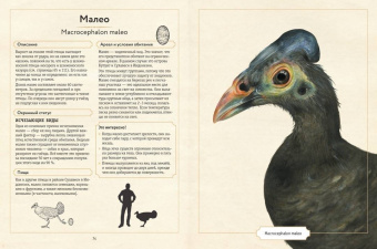 Сэми Бэйли: Энциклопедия удивительных животных