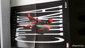 Кари Эндрюс: Человек-Паук. Стража