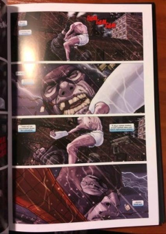 Кари Эндрюс: Человек-Паук. Стража