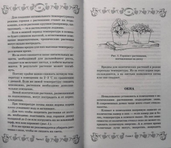 С. Калюжный: Экзотические фрукты и растения:  выращиваем дома круглый год