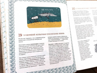 Матильда Мастерс: Может ли лошадь решать уравнения? И ещё 320 вопросов о животных
