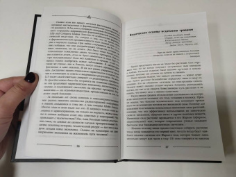 Дмитрий Лапшинов: Звук безмолвия. Сварга. Гармония целостного развития