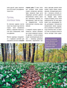 Римма Карписонова: Стильный цветник. Популярная энциклопедия