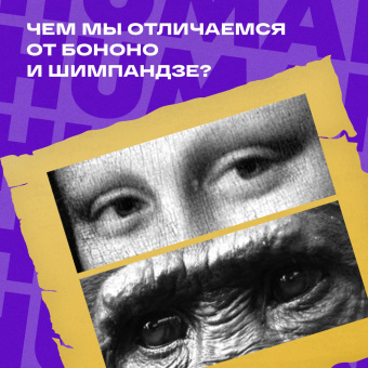 Хэйр, Вудс: Выживает самый дружелюбный. Почему женщины выбирают добродушных мужчин, молодежь избегает агрессии