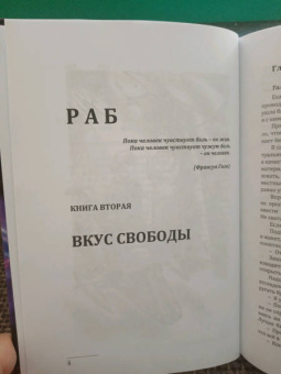 Нидейла Нэльте: Раб. Книга 2. Вкус свободы