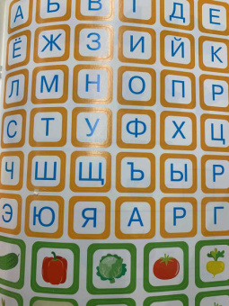 Играю с попугаем