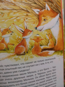 Сергей Духин: Приключения лисёнка Джимми. Маленький храбрец