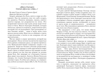Максим Игумен: Проповеди. Том 1