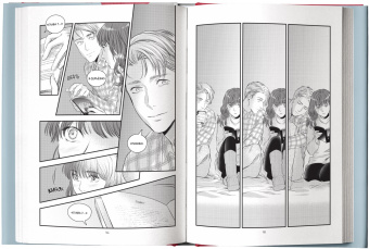 Рауэлл, Maggs: Фанатка. Том 2