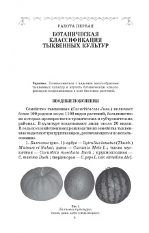 Медведев, Михальков, Мищенко: Бахчеводство. Практикум. Учебное пособие. СПО