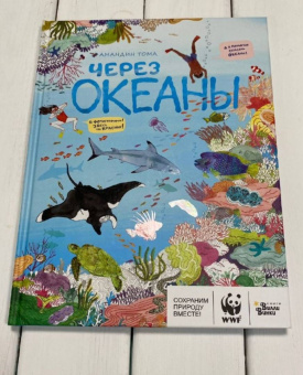 Амандин Тома: Через океаны