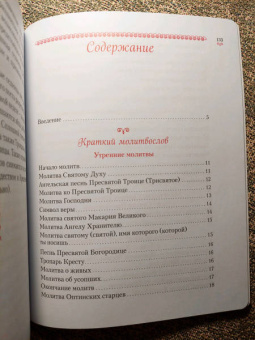 Елена Тростникова: Научи меня, Господи, молиться! Толковый молитвослов для школьников