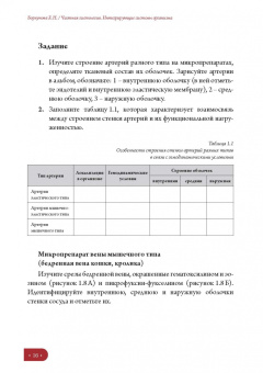 Елена Борхунова: Частная гистология. Интегрирующие системы. Методика изучения препаратов. Учебно-методическое пособие