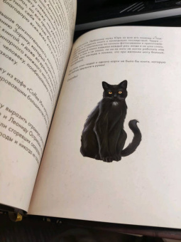 Татьяна Андреева: Мистер Вечный Канун. Поваренная книга для Хэллоуина