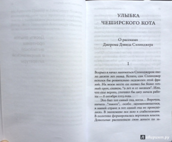 Андрей Аствацатуров: И не только Сэлинджер:  десять опытов прочтения английской и американской литературы