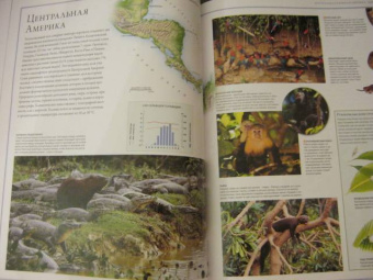 Бамбарадения, Вудрафф, Гинзберг: Животный мир. Иллюстрированный атлас