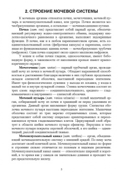 Алиев, Рукавишникова, Ахмедов: Клинический анализ мочи в лабораторной диагностике