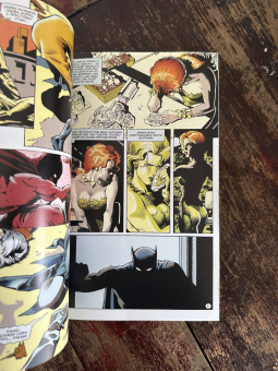 Алан Грант: Бэтмен. Тень Летучей Мыши. Ядовитый Плющ. Год 1-й