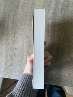 Гюстав Флобер: Воспитание чувств