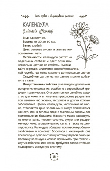 Холли Беллебуоно: Маленькая книга трав