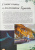 Вячеслав Ликсо: Большая книга о подводном мире. 1001 фотография