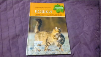 Александр Тихонов: Кошки дикие и домашние