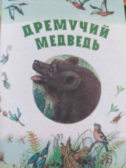 Константин Паустовский: Дремучий медведь. Рассказы и сказки