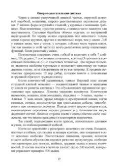 Веселова, Блохина: Биология, систематика и разведение кошачьих. Учебное пособие для вузов